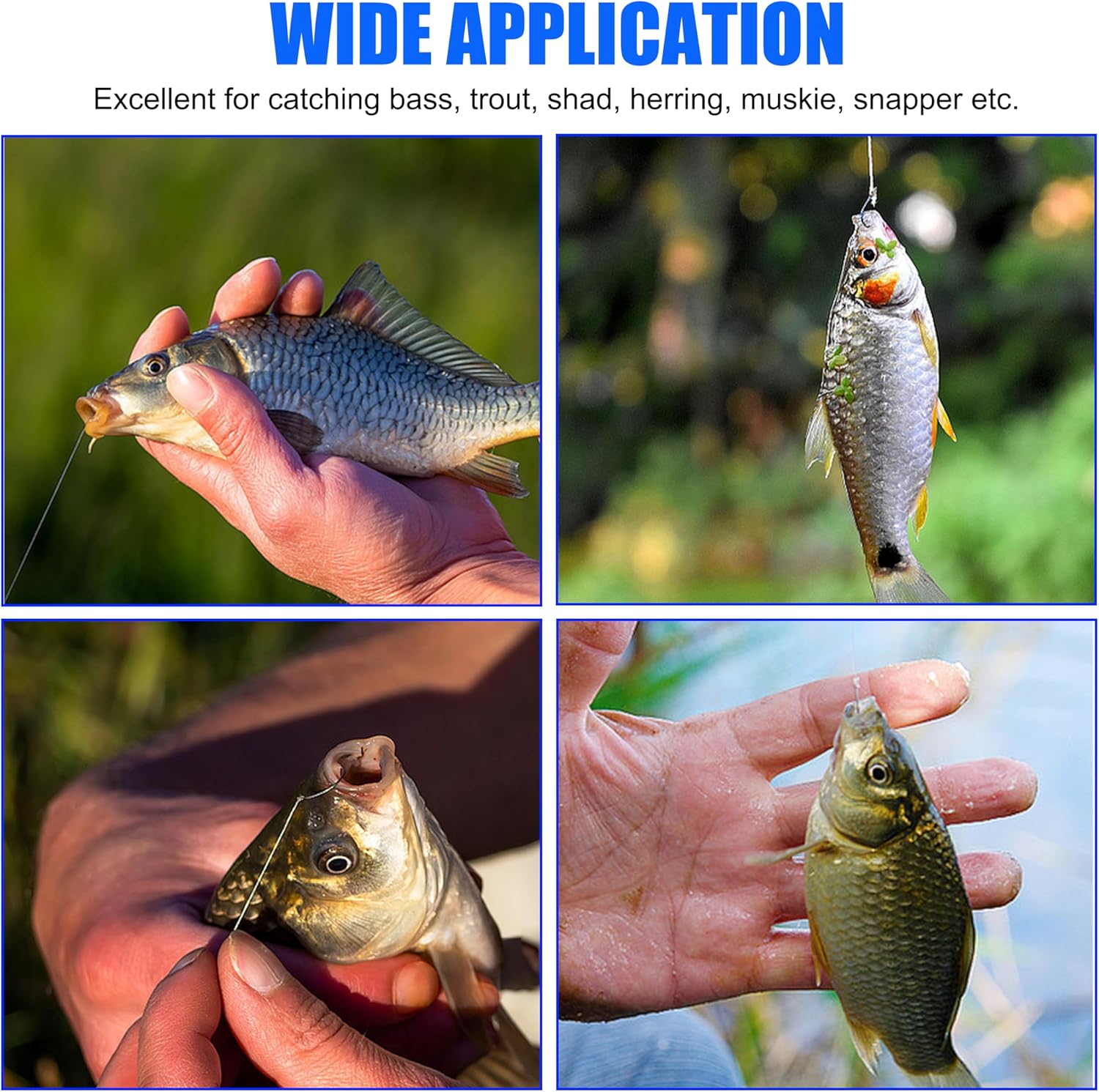 Barbless Fishing Hooks Kit, 250pcs Carp Fishing Trout Hooks Circle Curved Shank Fly Tying Hooks for Hair Rig Carp Fishing Tackle Saltwater Freshwater