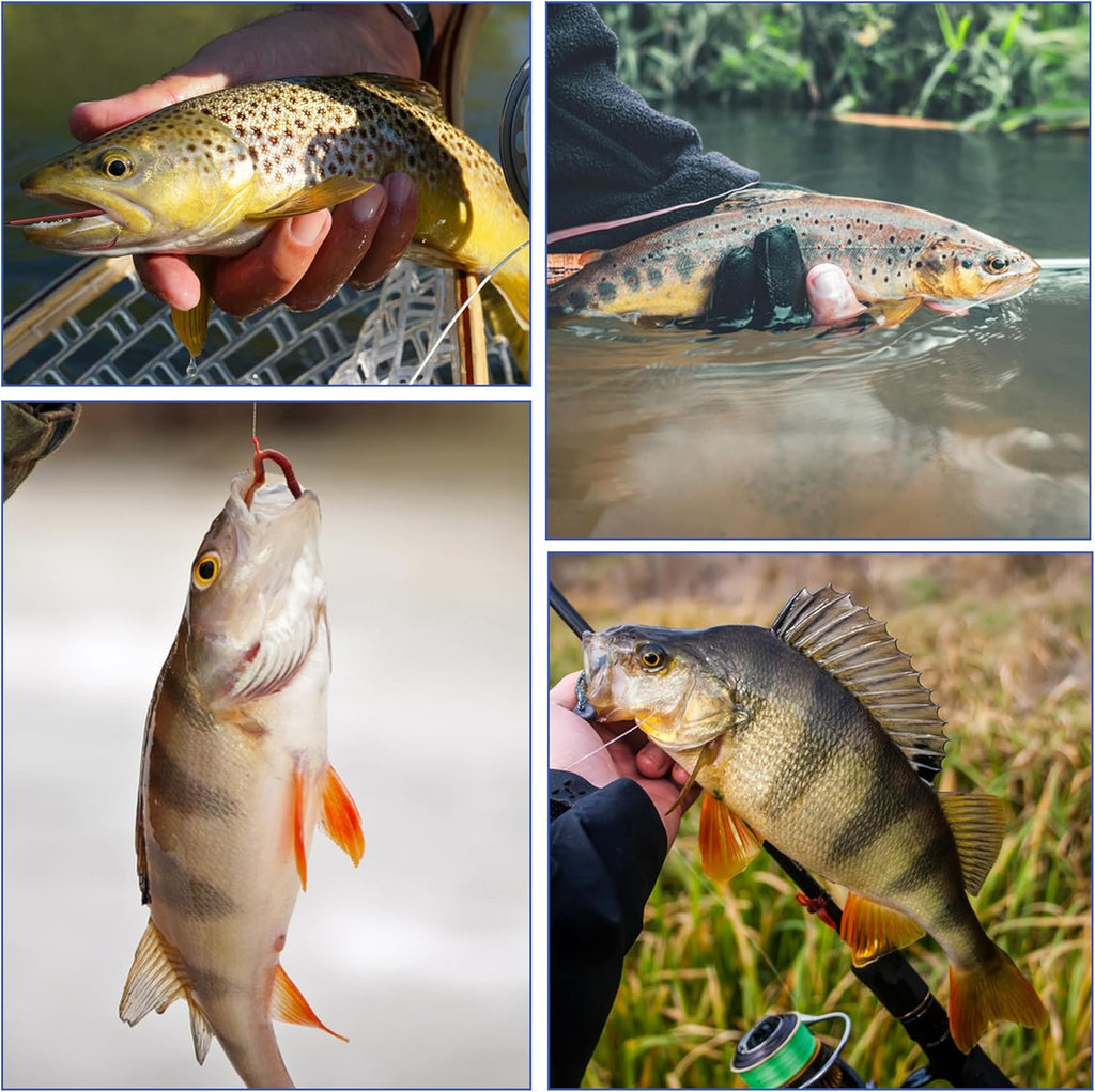 Aberdeen Fishing Hooks Set,150pcs Crappie Panfish Hooks Long Shank Aberdeen Hooks High Carbon Steel Assorted Small Light Wire Fishing Hooks for Bass Trout Catfish Sunfish Freshwater