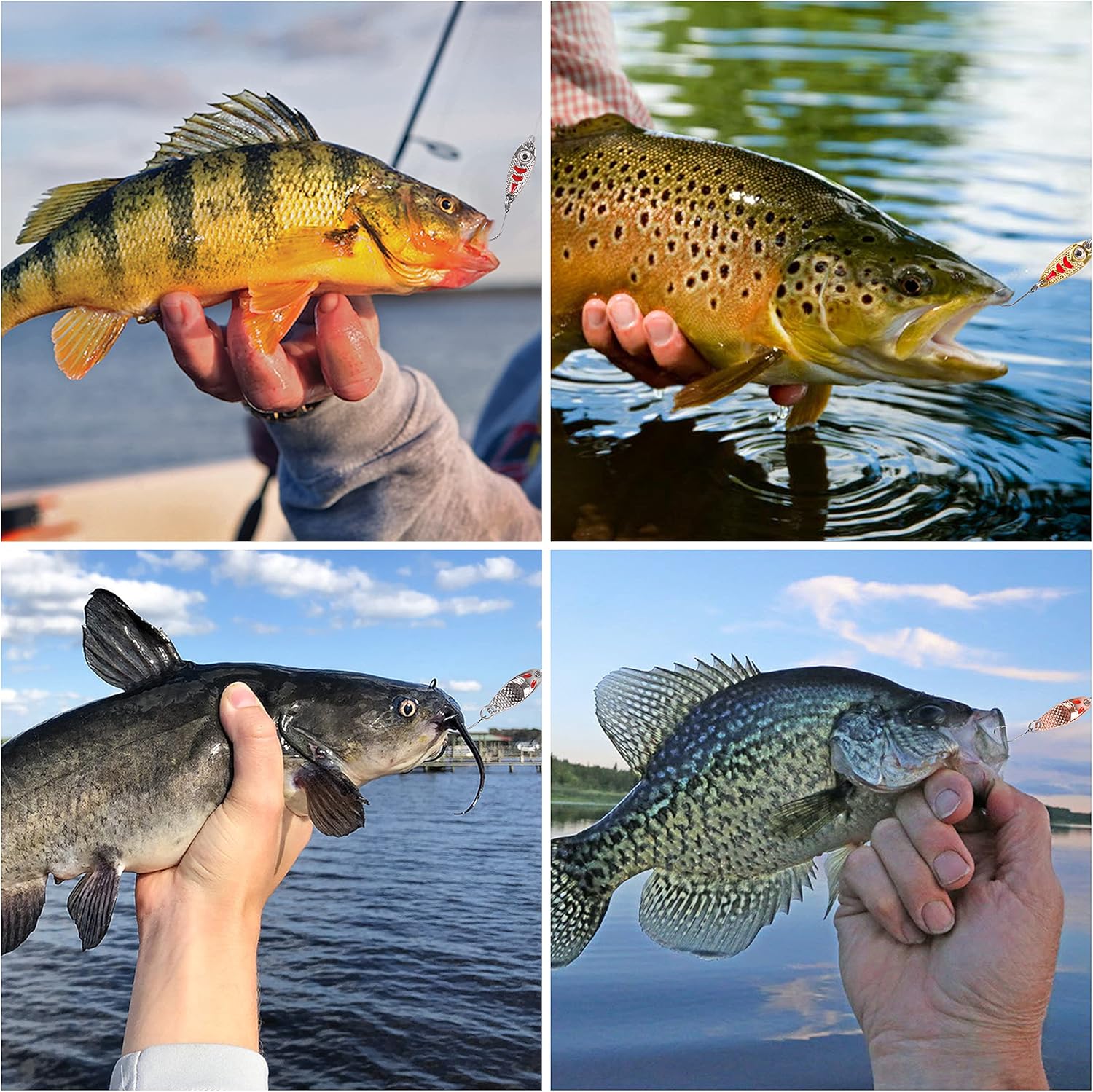 Trout Fishing Spoon Lure Set Single Hook Trout Lures Hard Metal Baits Mini Fishing Jig Spoon Lures for Perch Char Crappie