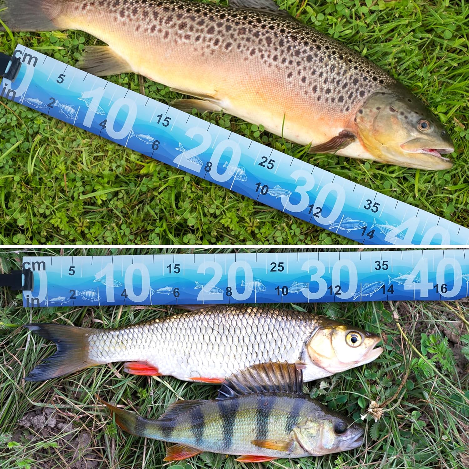 Fish Ruler Fish Measuring Tape 2 Packs 36in/90cm Folding Fishing Ruler Roll Up Fishing Tape Measure with Storage Strap Waterproof PVC Fish Measuring Tool for Boat Kayaks