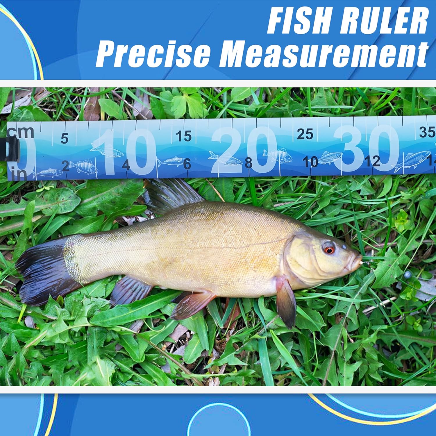 Fish Ruler Fish Measuring Tape 2 Packs 36in/90cm Folding Fishing Ruler Roll Up Fishing Tape Measure with Storage Strap Waterproof PVC Fish Measuring Tool for Boat Kayaks